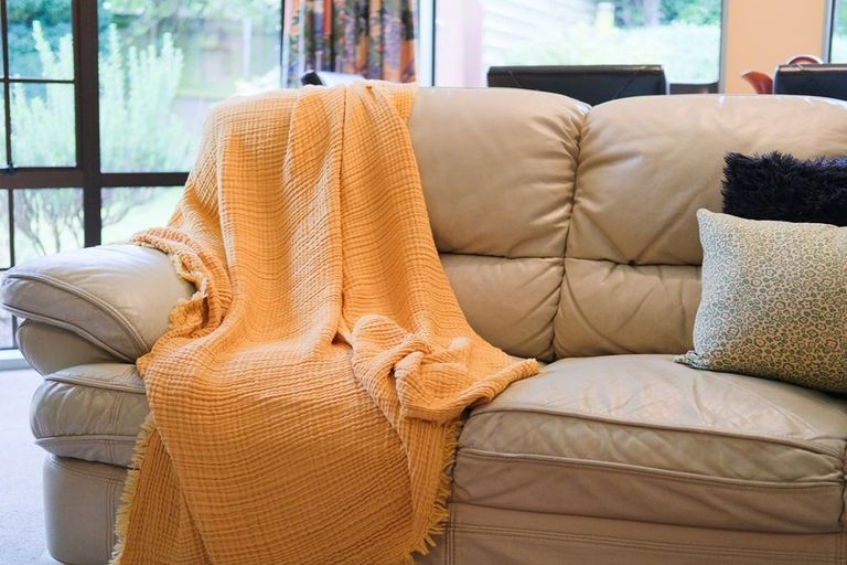 Photo of property in 405 Saddle Hill Road, Scroggs Hill, Dunedin, 9076