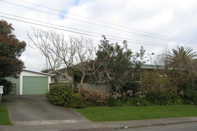 Photo of property in 115 Kawiu Road, Levin, 5510