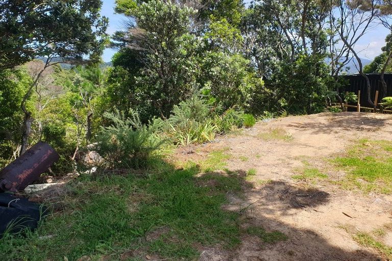 Photo of property in 949 Tuateawa Road, Waikawau, Coromandel, 3584