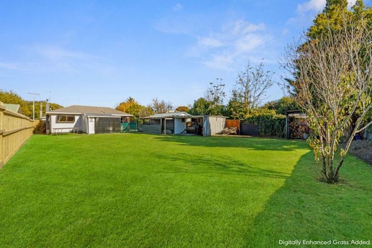 Photo of property in 8 Daphne Street, Outer Kaiti, Gisborne, 4010