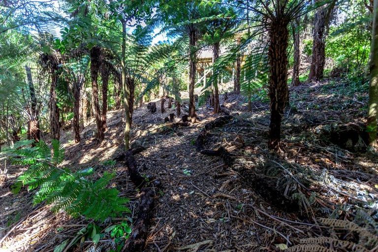Photo of property in 20 Tutaritari Road, Hahei, Whitianga, 3591