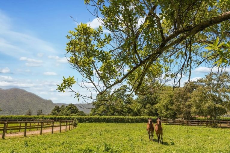 Photo of property in 388 Stanley Road, Te Aroha West, Te Aroha, 3391