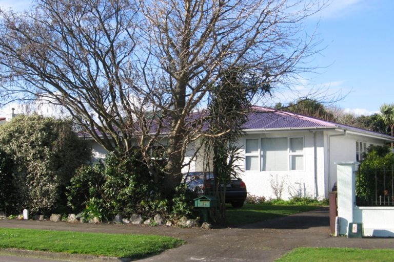 Photo of property in 22 Salisbury Avenue, Terrace End, Palmerston North, 4410