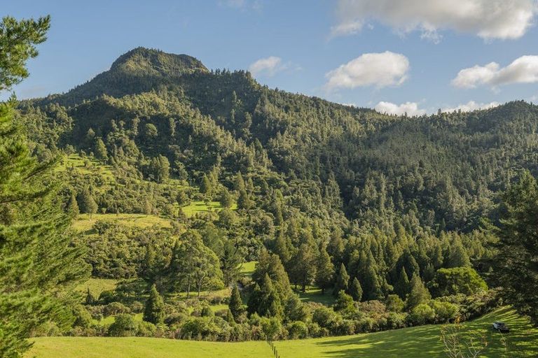 Photo of property in 555 Mill Creek Road, Kaimarama, Whitianga, 3591