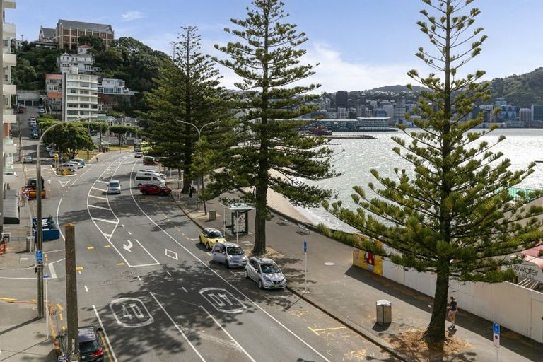 Photo of property in Coburn House, 246 Oriental Parade, Oriental Bay, Wellington, 6011