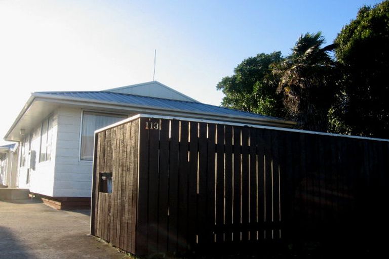 Photo of property in 113 Featherston Street, Palmerston North, 4410