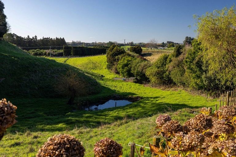 Photo of property in 38 Youngson Road, Whakamarama, Tauranga, 3180