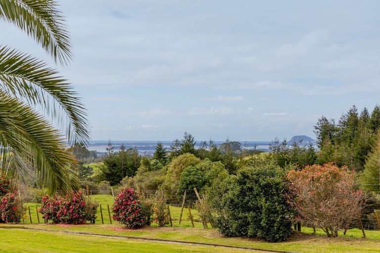 Photo of property in 649c Esdaile Road, Whakamarama, Tauranga, 3180