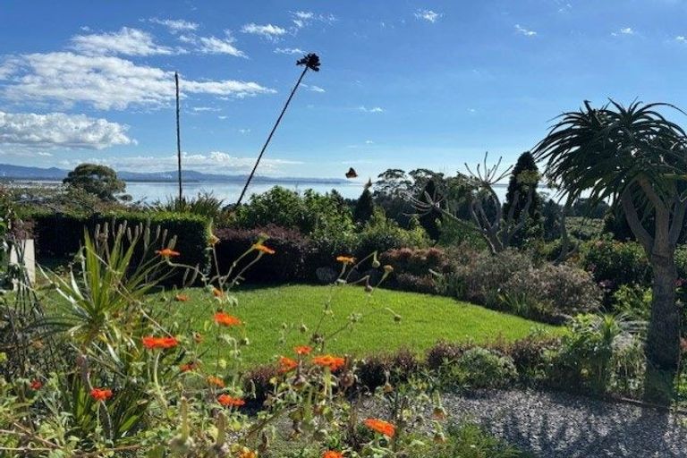 Photo of property in 289 Pahoia Road, Whakamarama, Tauranga, 3172