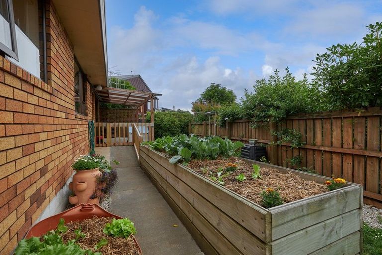 Photo of property in 283b Scarborough Street, Kaikoura, 7300