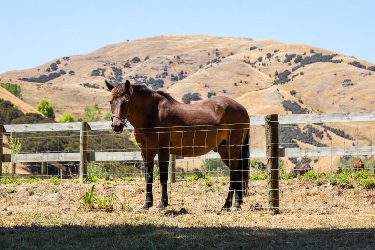 Photo of property in 752 Ponatahi Road, Martinborough, Carterton, 5792