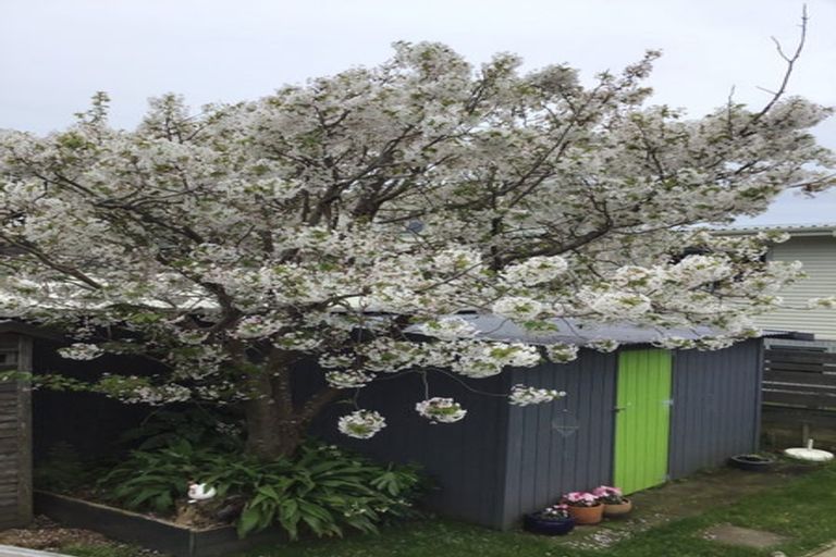 Photo of property in 97 Marine Parade, Paraparaumu Beach, Paraparaumu, 5032