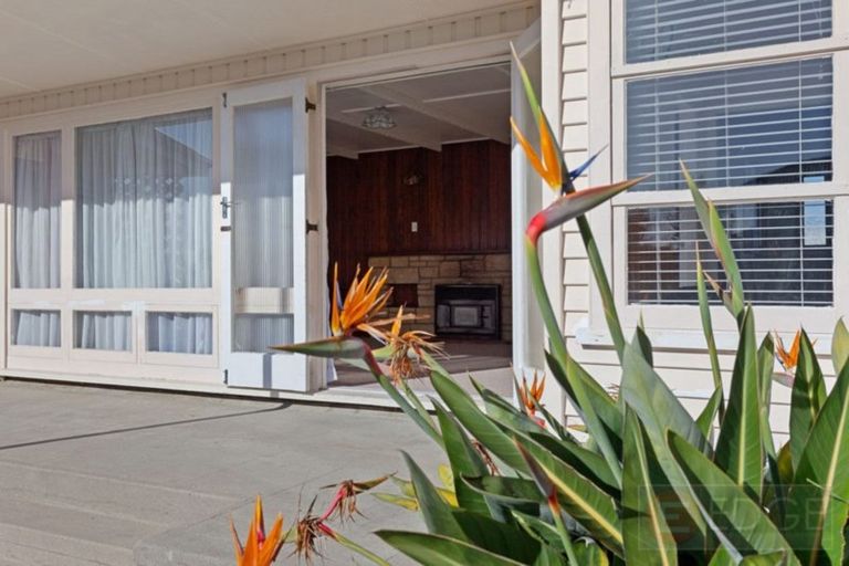 Photo of property in 3 Barry Avenue, Whakatane, 3120