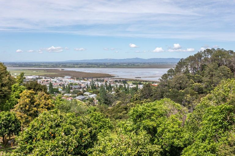 Photo of property in 119 Collarbone Road, Thames, 3500