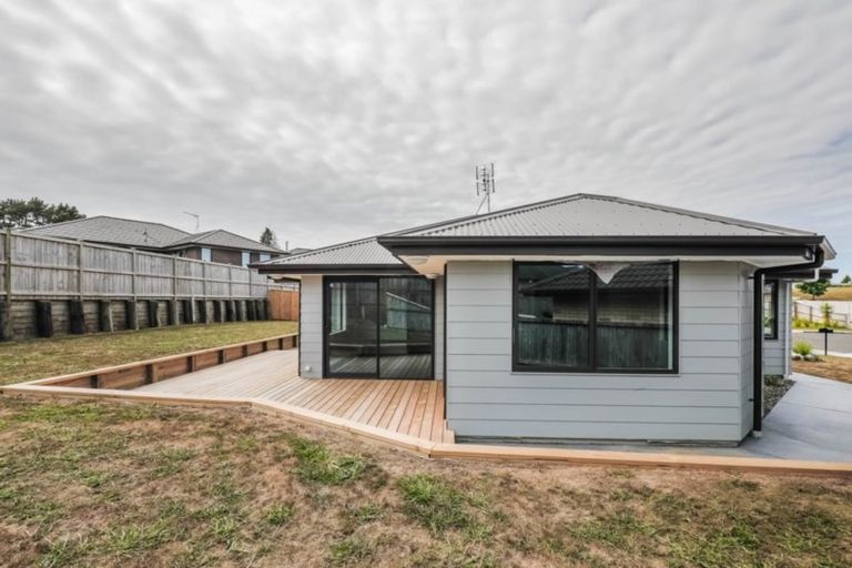 Photo of property in 17 Ribbonwood Close, Te Kauwhata, 3710