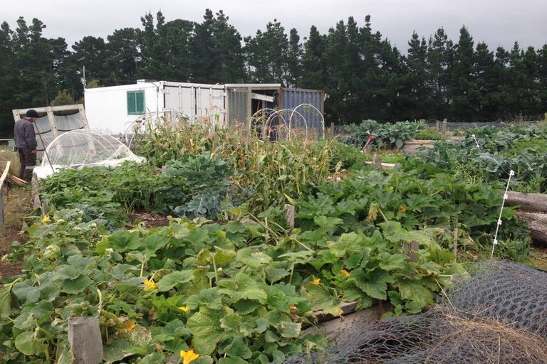 Photo of property in 148 Maskells Road, Balcairn, Amberley, 7481