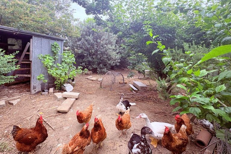 Photo of property in 15 Osler Street, Wairoa, 4108