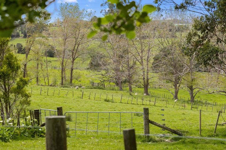 Photo of property in 393 Port Albert Road, Wellsford, 0972