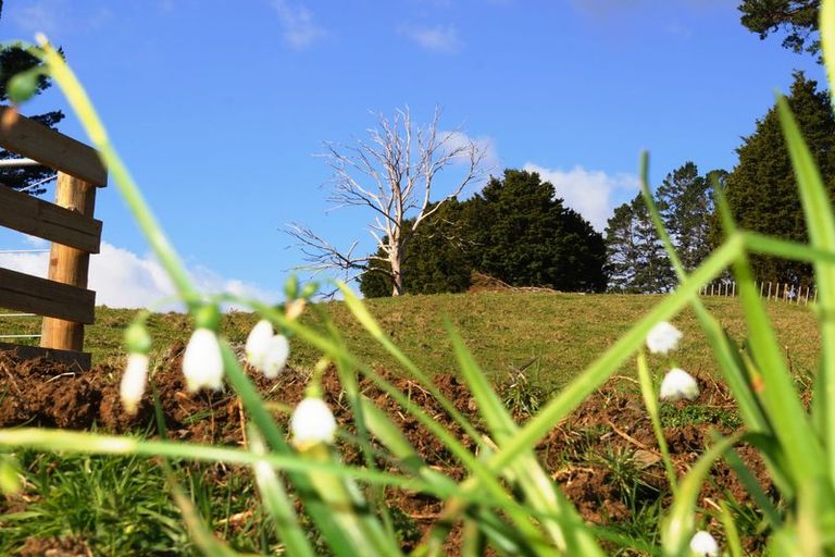 Photo of property in 3672 State Highway 10, Kaeo, 0478