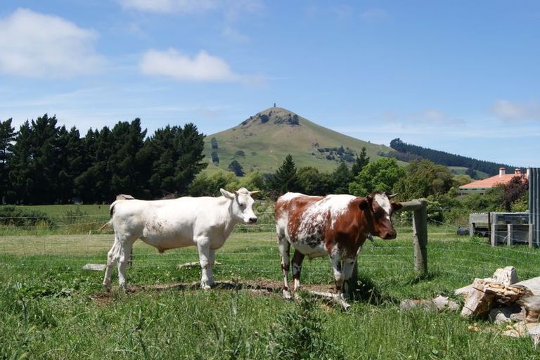 Photo of property in 107 District Road, Palmerston, 9430