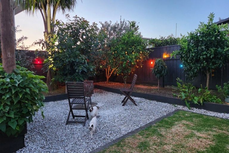 Photo of property in 164 Tukapa Street, Westown, New Plymouth, 4310