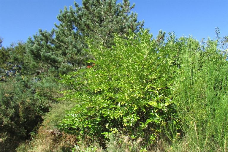 Photo of property in 87 Main Road, Blackball, 7804