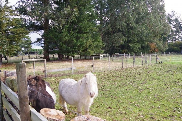 Photo of property in 1937 Broadlands Road, Broadlands, Reporoa, 3081