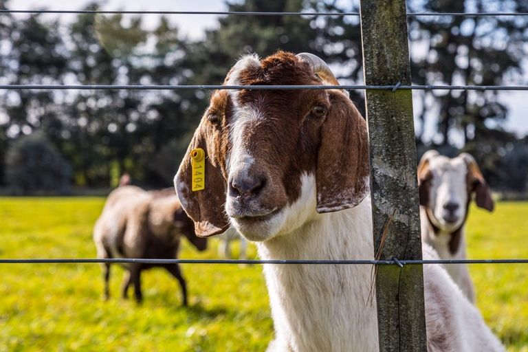 Photo of property in 23 Settlement Road, Morison Bush, Greytown, 5794