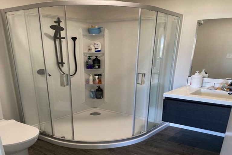 Photo of property in 99a Bruce Avenue, Glenview, Hamilton, 3206