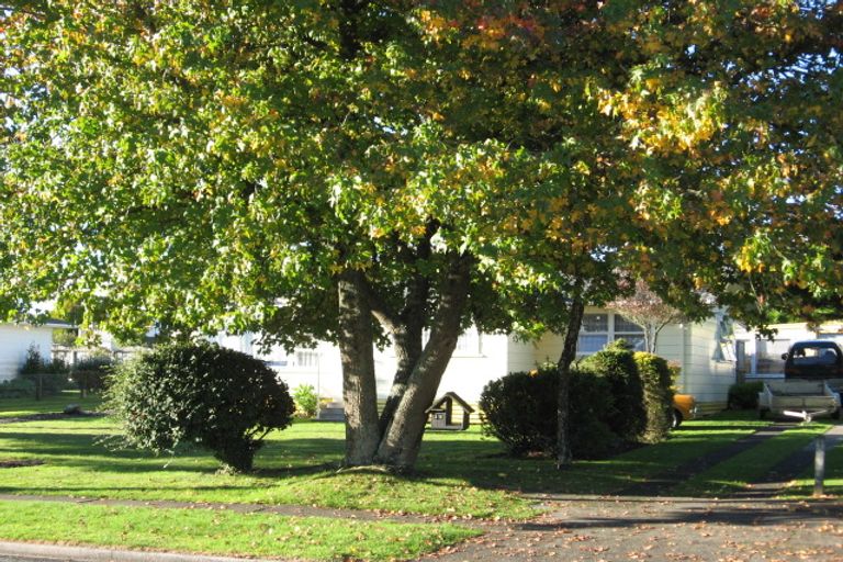 Photo of property in 19 Aotea Crescent, Tokoroa, 3420