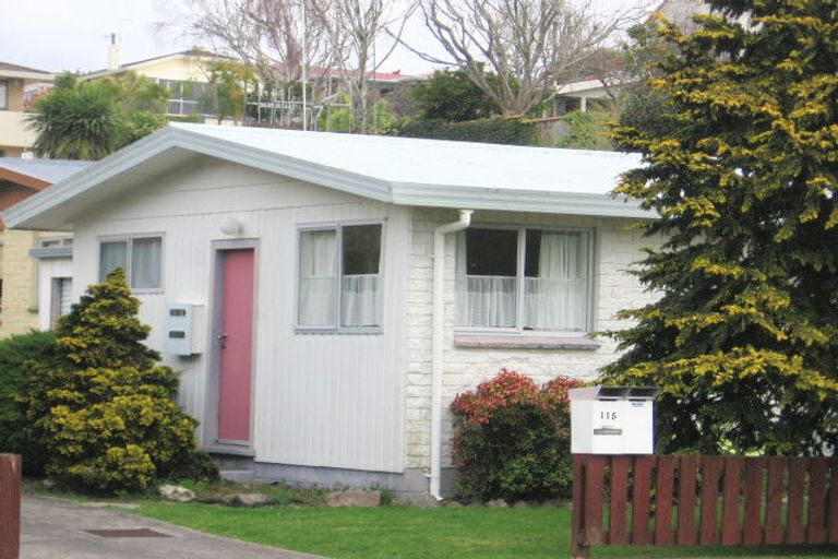 Photo of property in 115a Pillans Road, Otumoetai, Tauranga, 3110