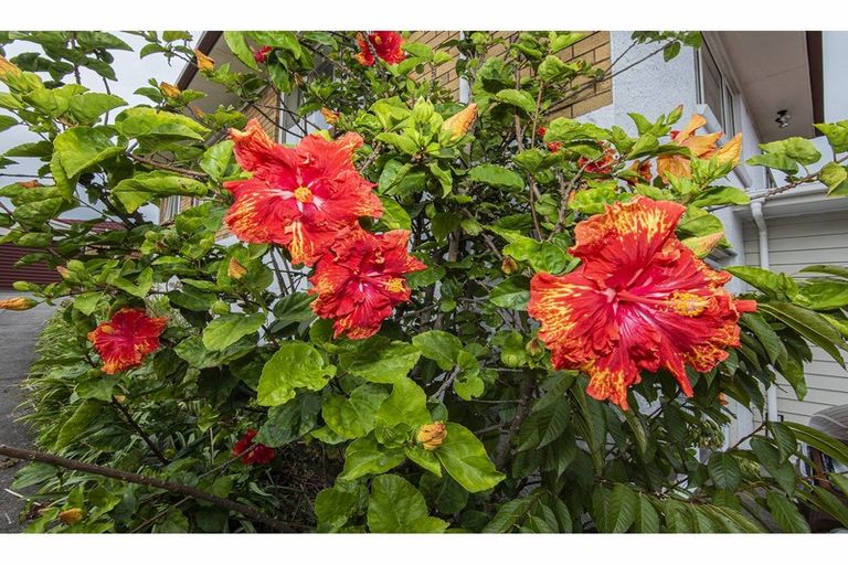 Photo of property in 2/28 Three Mile Bush Road, Te Kamo, Whangarei, 0112