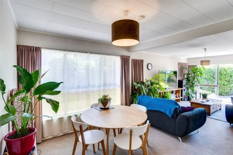 Photo of property in 3/184 Vigor Brown Street, Napier South, Napier, 4110