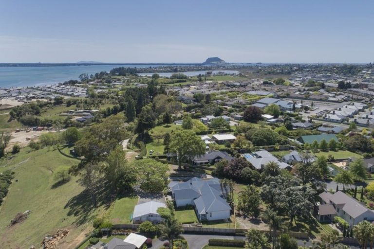 Photo of property in 41 Black Barn Lane, Bethlehem, Tauranga, 3110