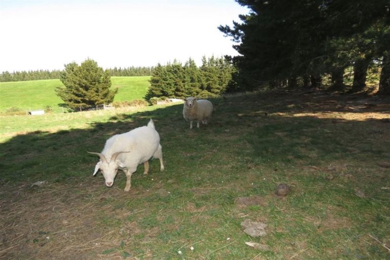 Photo of property in 283 Maskells Road, Balcairn, Amberley, 7481