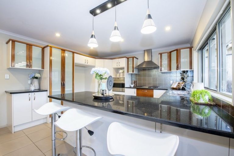 Photo of property in 100 Wayne Francis Drive, Flat Bush, Auckland, 2016