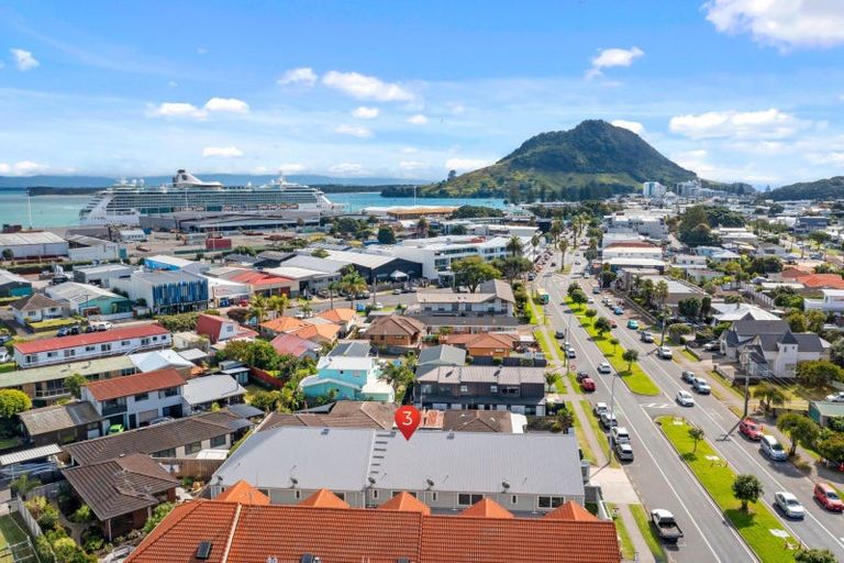 Photo of property in 362a Maunganui Road, Mount Maunganui, 3116