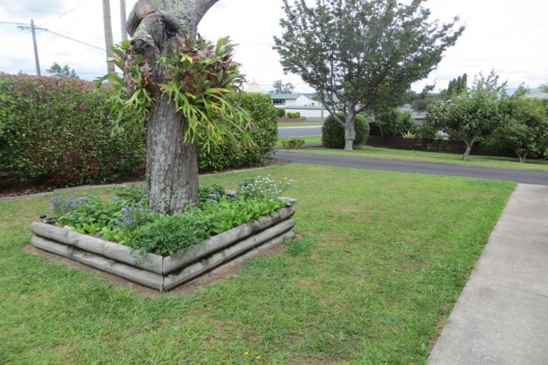 Photo of property in 8 Brick Street, Te Aroha, 3320