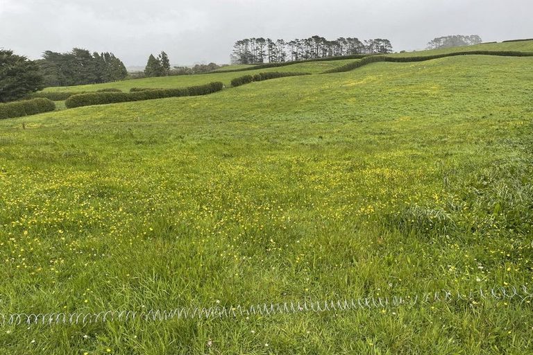 Photo of property in 581r Pembroke Road, Pembroke, Stratford, 4391