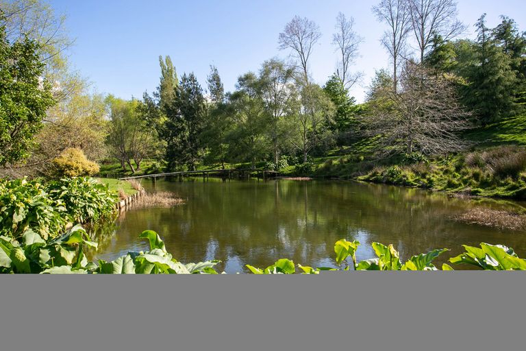 Photo of property in 129 Bell Road, Papamoa, 3187