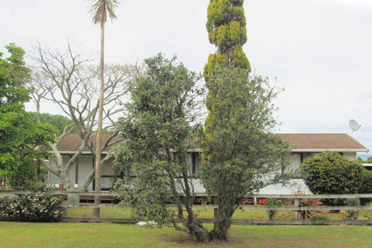 Photo of property in 28 Princess Street, Opotiki, 3122