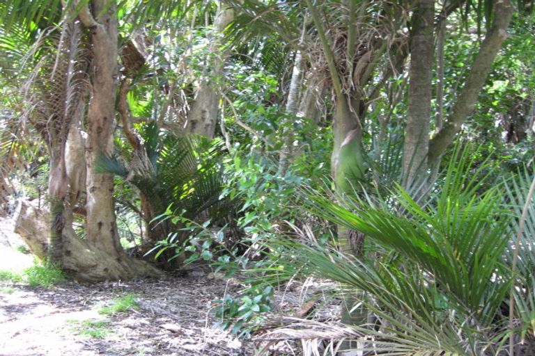 Photo of property in 5 Sylvan Glade, Piha, New Lynn, 0772