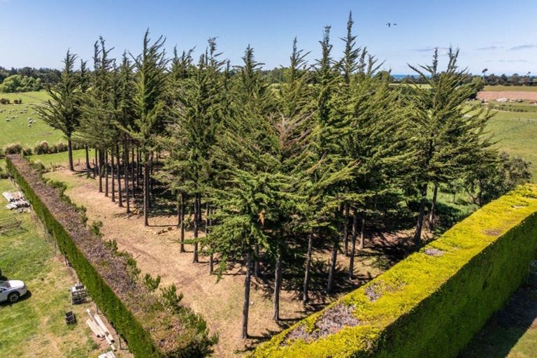 Photo of property in 49 Ashworths Road, Amberley, 7481