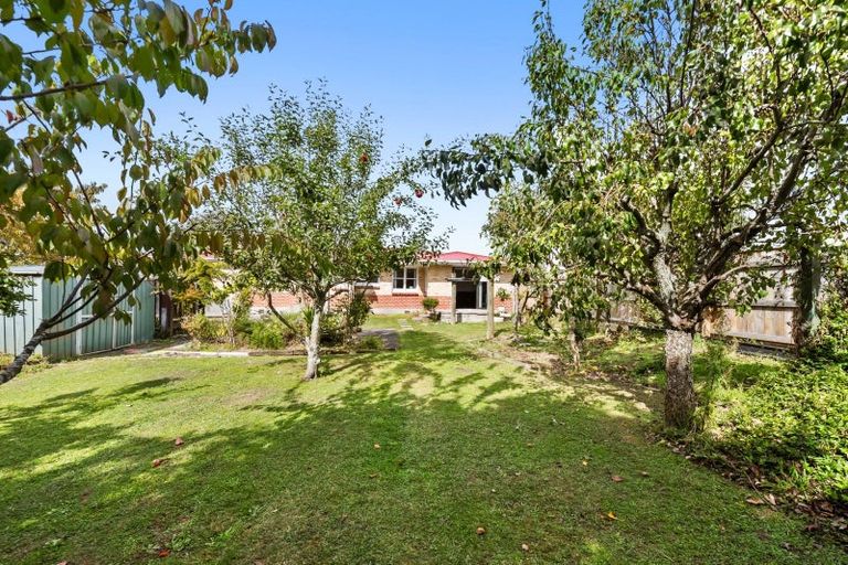 Photo of property in 8 Mabel Street, Levin, 5510