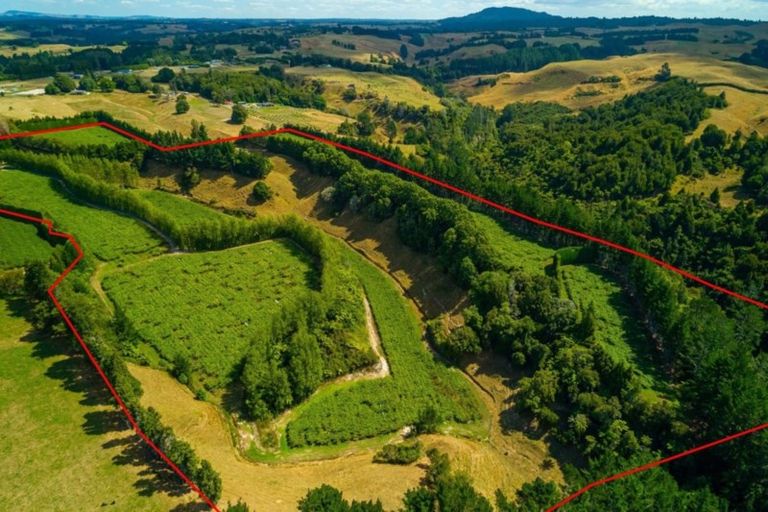 Photo of property in 866 No 2 Road, Te Ranga, Te Puke, 3182