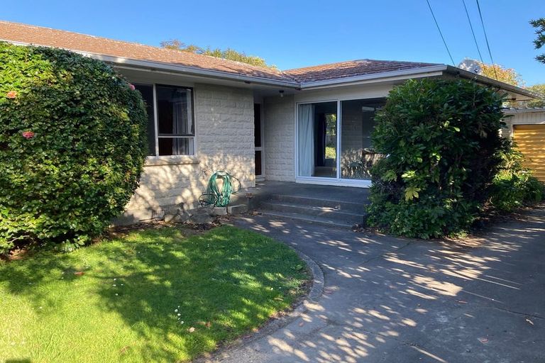 Photo of property in 46b Copeland Street, Hutt Central, Lower Hutt, 5011