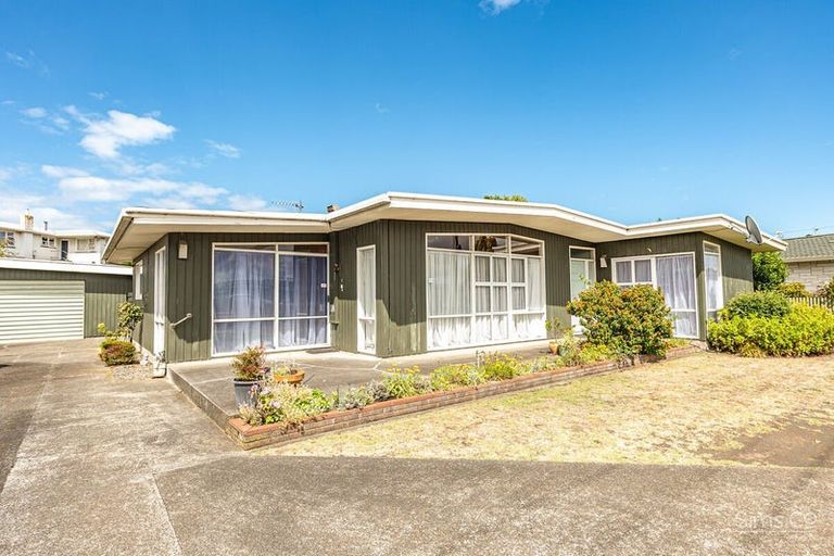 Photo of property in 51 Fitzherbert Avenue, Springvale, Whanganui, 4501