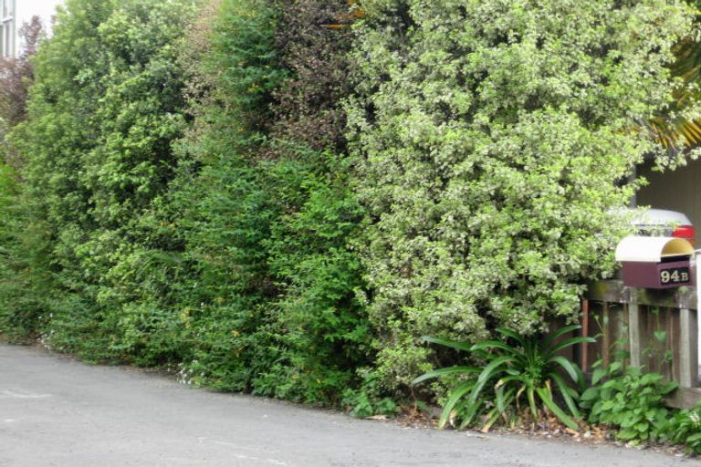 Photo of property in 94b Maxwell Road, Blenheim, 7201