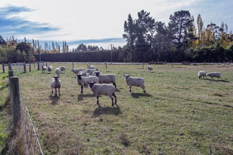 Photo of property in 65 Loburn Whiterock Road, Loburn, Rangiora, 7472