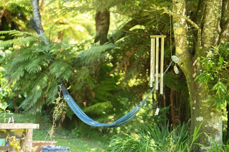 Photo of property in 506 Pakihi Road, Toatoa, Opotiki, 3197